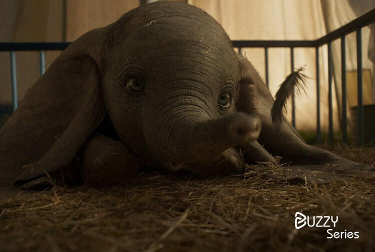 Dumbo